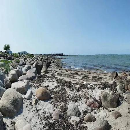 5 Person In 博恩瑟