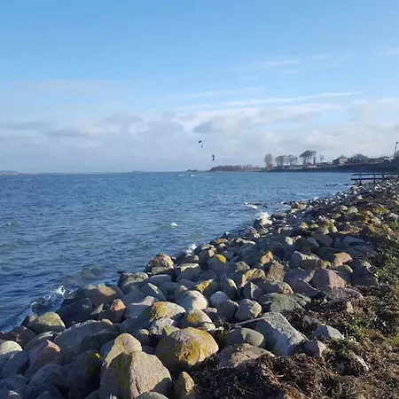 5 Person In Appartement